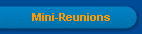 Mini-Reunions